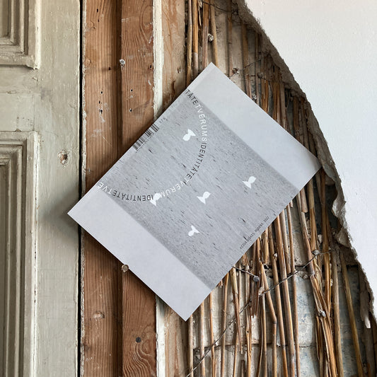 Identitāte - Aizgājušais rudens 2022